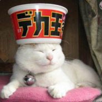 imageprofile